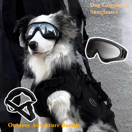 NEW Large Breed Dog Goggles & Sunglasses: Windproof Protective Eye Wear for Golden Retriever, Border Collie, Husky, Corgi - Impact-Resistant Lens, Adjustable Strap for Active Outdoor Adventures