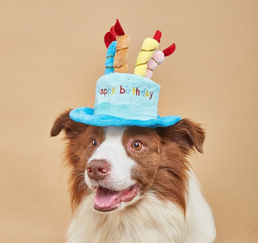 Party Paw Hat – Plush Pet Birthday & New Year Photo Prop Toy