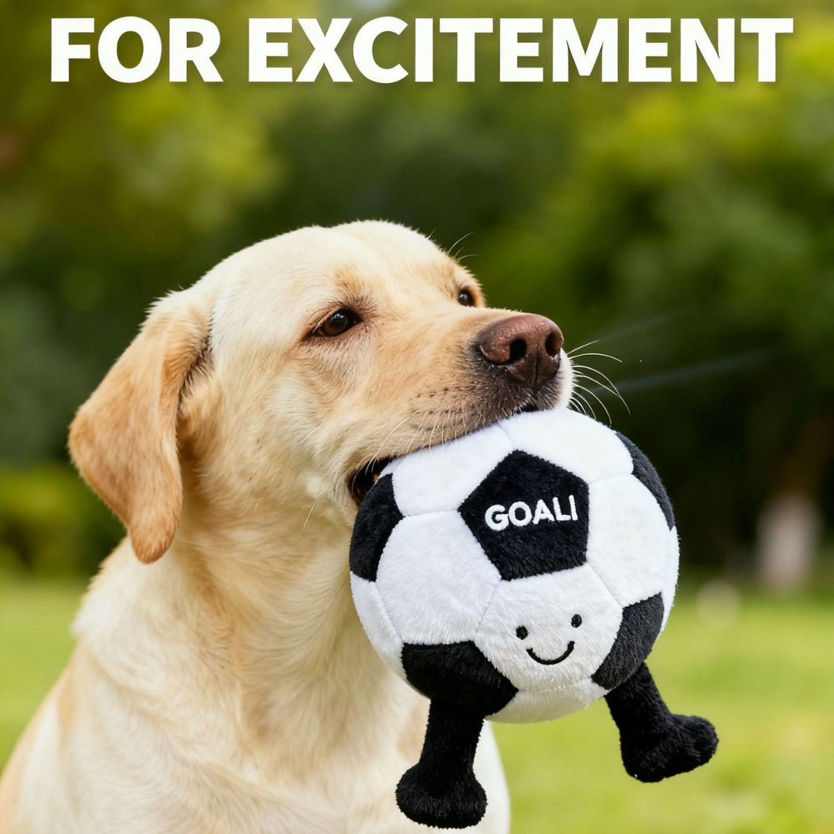 Bark Ball – Squeaky Soccer Dog Toy for Fetch, Chew & Solo Play