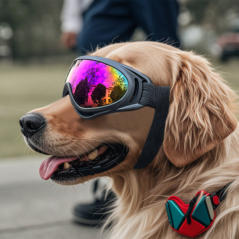 NEW Large Breed Dog Goggles & Sunglasses: Windproof Protective Eye Wear for Golden Retriever, Border Collie, Husky, Corgi - Impact-Resistant Lens, Adjustable Strap for Active Outdoor Adventures
