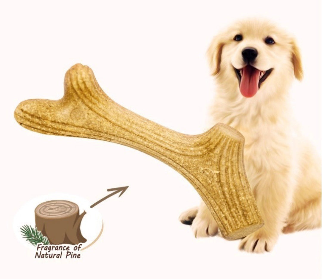 Antler Chew – Long-Lasting Dog Bone for Aggressive Chewers & Boredom Relief
